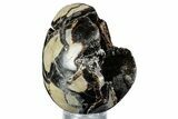 Septarian Dragon Egg Geode - Sparkly Black Crystals #336452-1